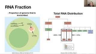 Webinar #11 - Beginner's guide to bulk RNA-Seq analysis