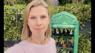 SPRING Seedlings - What to plant in Spring in Australia - my Vegetable Garden tour