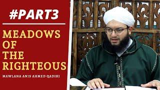 Part 3 Of Riyad Al-Saliheen | Introduction To Chapter Of Ikhlas | Mawlana Sardar Anis Ahmed