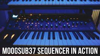 Experience the Magic of Moog Sub37 Sequencer