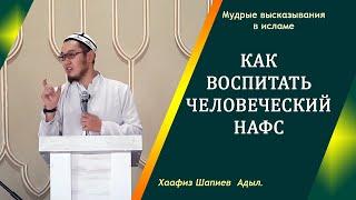 Человеческий НАФС воспитывается с голоданием | Хаафиз Адыл Шапиев.