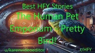 Best HFY Sci-Fi Stories: The Human Pet Emporium - Pretty Bird!