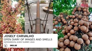 Josely Carvalho: Open Diary of Images and Smells