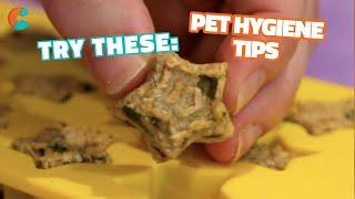 Freshen Your Dog’s Breath Naturally | Craft Factory