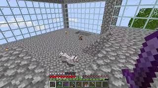 Minecraft ll Ender Dragon & Elytra Hunting, Maybe I Will Finally Build A House?!