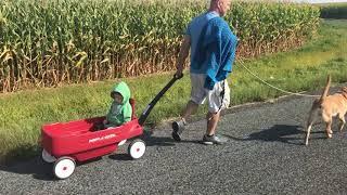 Caminhando pela manhã na fazenda de Thalita em Belmont Wisconsin