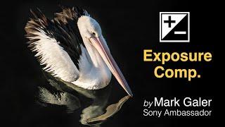 Exposure Compensation when using Sony Alpha Cameras