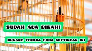 birahi tp gak punya tenaga coba setting dengan cara ini