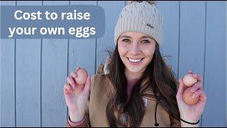 Does raising chickens give you cheaper eggs?