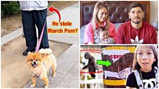 WE BELIEVE SOMEONE STOLE OUR PUPPY MARCH POM!! *Part 2*