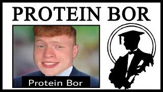 What Does 'Protein Bor' Mean?