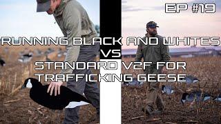 Do Flocked Decoys Really Make a Difference?- Ep #19 Field Facts with Forrest