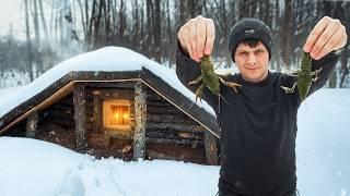 ПРЕВРАТИЛ ЗАБРОШЕННУЮ ЗЕМЛЯНКУ В ЗИМНИЙ ПРИЮТ | Нашёл, где зимуют раки!