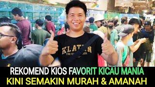 REKOMEND (KIOS FAVORIT) KICAU MANIA KINI HARGA MAKIN MURAH & AMANAH KIOS SIGIT PASAR BURUNG PRAMUKA