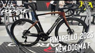 PINARELLO 2025 new DOGMA F 展示会に行ってきました！！#pinarello #dogmaf #ドグマf