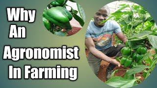 Why farmers needs an Agronomist and what they should expect from Them. #Letsgrowtogether