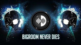 Hardwell & Blasterjaxx feat. Mitch Crown - Bigroom Never Dies (BHM Hard Edit)