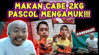 MAKAN CABE 2 KILOGRAM, PASCOL MENGAMUK!!!