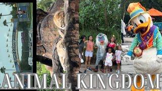 We went to Disney’s Animal Kingdom for the whole day | Come see all of the animals & attractions 