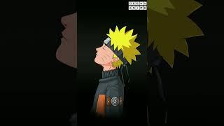 Naruto's author secret message