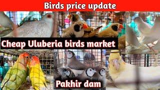 Uluberia hate kon pakhir ki dam ।। Birds price at uluberia pet market ।।