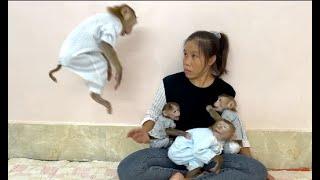 OMG!! 3 Sisters Scream Loud Much Worry To Stop Naughty Sovan Highest Jumping To Her ,