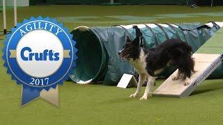 Agility Championship Final | Crufts 2017