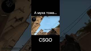 А муха тоже вертолёт... #csgo #ксго