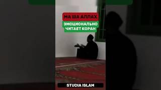 Эмоционально и очень красиво читает Коран! #коран #islam #freepalestine  #studiaislam