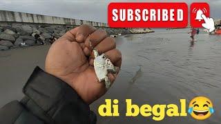 di begal predator‼️mancing di dermaga matahari terbit sanur bali