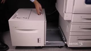 Xerox® WorkCentre® WC7435/7535/7830/7970i Tray 6 Jam Clearance