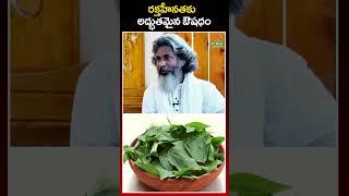 రక్తహీనతకు  అద్భుతమైన ఔషధం | PMC Health