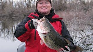 Best Lures For Winter Bass Fishing (These work!) | Bass Fishing