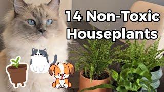 Pet Safe Houseplants!