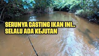 CASTING IKAN HAMPALA DI AIR JERNIH