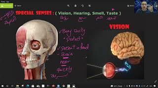 Vision Physiology-1 د/ الشريف