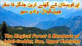 Unexplored Jehal Forest & Meadows | Seo Valley | Upper Kohistan | KPK | Pakistan | Arshad Iqbal Wani