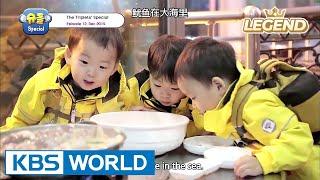 The Return of Superman - The Triplets Special Ep.12 [ENG/CHN/2017.07.28]