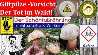 Der Schönfussröhrling ! Vorsicht im Wald! Giftpilze erkennen und bestimmen - Pilzwissen - Sept 2022