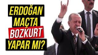 Hollanda Maçında Erdoğan ve Bozkurt İşareti