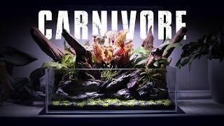 BUILDING A CARNIVOROUS PLANT ECOSYSTEM IN A SINKOR SIDEFIX 10L NANO TANK