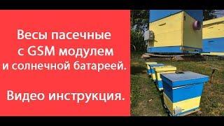 Весы пасечные с GSM модулем и солнечной батареей/Beekeeping scales with GSM module and solar battery