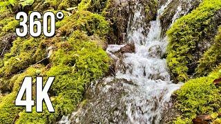 Soothing sounds of nature. A gentle waterfall and singing birds. 360-degree video.