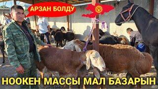 НООКЕН МАССЫ МАЛ БАЗАРЫ ӨТӨ АРЗАН БОЛУУДА КӨРҮҢҮЗДӨР.