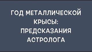 Год металлической крысы: предсказания астролога