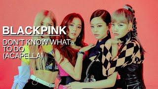 BLACKPINK - Don't Know What To Do (Studio Acapella)