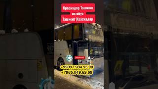 Ташкент Краснодар автобус, Ташкент Москва автобус, Ташкент Новосибирск автобус, Краснодар Ташкент.￼