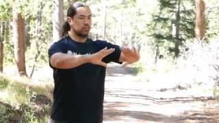 Sifu David Wei demonstrated the Wudang Five Element Qigong