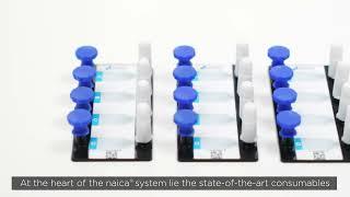 6 color naica® system - presentation