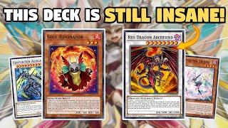 IMMER NOCH WAHNSINNIG! Red Dragon Archfiend Centur-Ion Deckprofil! | Februar 2025